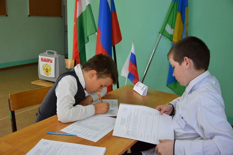 Выборы председателя совета обучающихся.